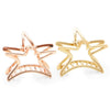 Metal Hair Claw Clips for Women, Star, Cat, Heart, and Rose (2 Inches, 10 Pack)