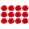 12 Pack Red Rose Flower Hair Clips for Women and Girls (3.5 In)